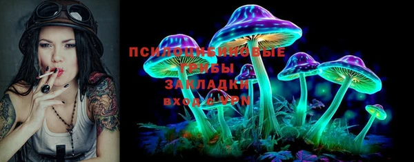 ПСИЛОЦИБИНОВЫЕ ГРИБЫ Волоколамск